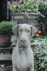 Vertical of a dog statue in a garden with plants