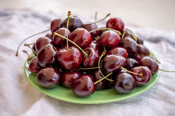 Giant fresh ripe black cherries, new harvest, ready to eat close up