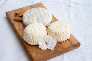 Taste of France, small round cheese Tome de Provence and matured small goat cheeses, Alpes-de-Haute-Provence, France