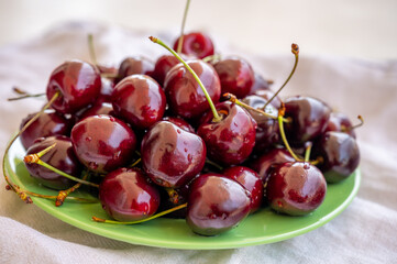 Giant fresh ripe black cherries, new harvest, ready to eat close up