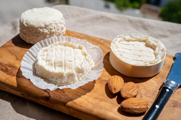 French cheeses Rocamadour and Saint-Marcellin served on olive tree wooden plank with almonds