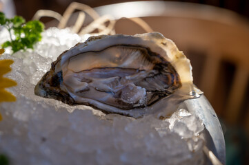 Fresh open oysters seafood served on ice with lemon in French restaurant