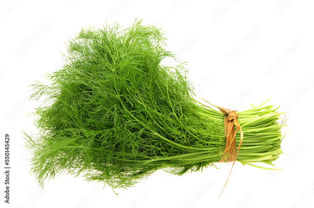 Wall mural fennel bunch on white background