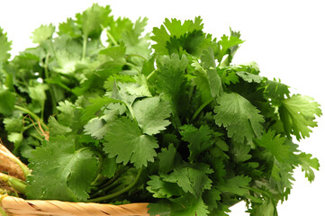 Parsley on White Background