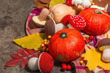 Traditional autumn background. Assorted of different knitted mushrooms, ripe Hokkaido pumpkins