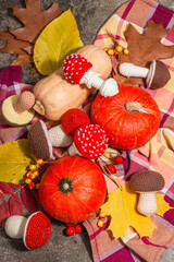 Obraz na płótnie Canvas Traditional autumn background. Assorted of different knitted mushrooms, ripe Hokkaido pumpkins