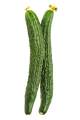 cucumber isolated on white background