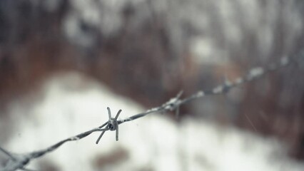 Barbed wire under the snow close-up. The concept of prickly frost. Detail of a prison in snowy weather. - Powered by Adobe
