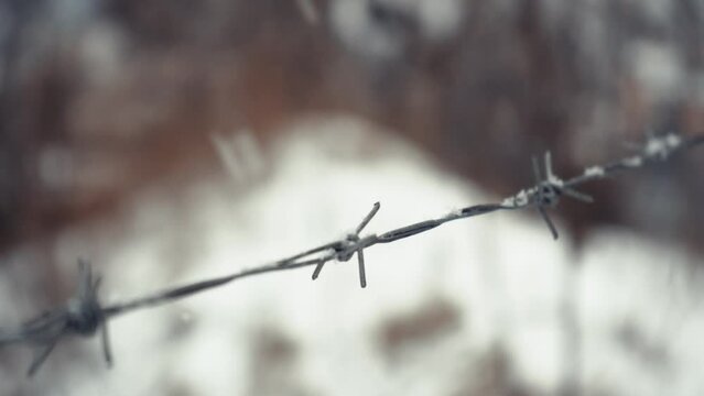 Barbed wire under the snow close-up. Danger concept. Detail of a prison in snowy weather.