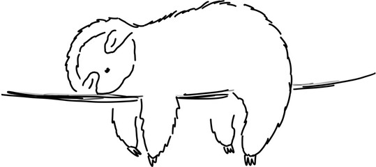 Cute sleeping sloth doodle illustration. Cartoon baby animal  © Alesse