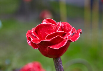 Beautiful garden decoration, a flower replica made of ceramic, (a red rose replica).