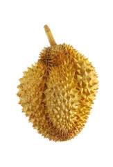 durian isolated on white background