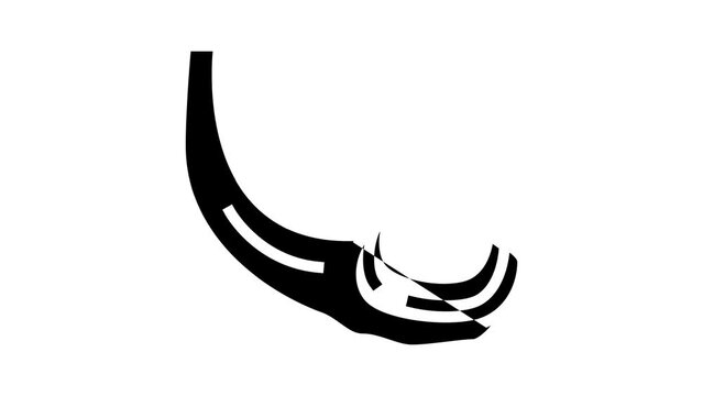 geoduck pacific clam glyph icon animation