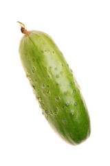 cucumber isolated on white background