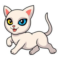 Cute khao manee cat cartoon