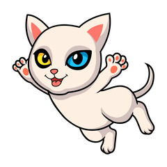 Fototapeta na wymiar Cute khao manee cat cartoon flying