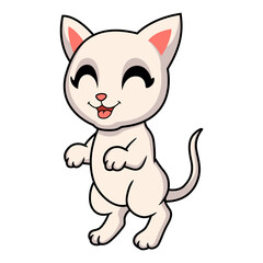 Cute khao manee cat cartoon