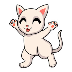 Cute khao manee cat cartoon