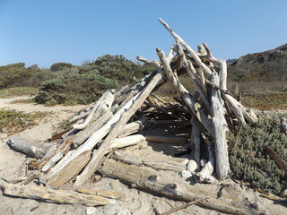 Beach wood shelter