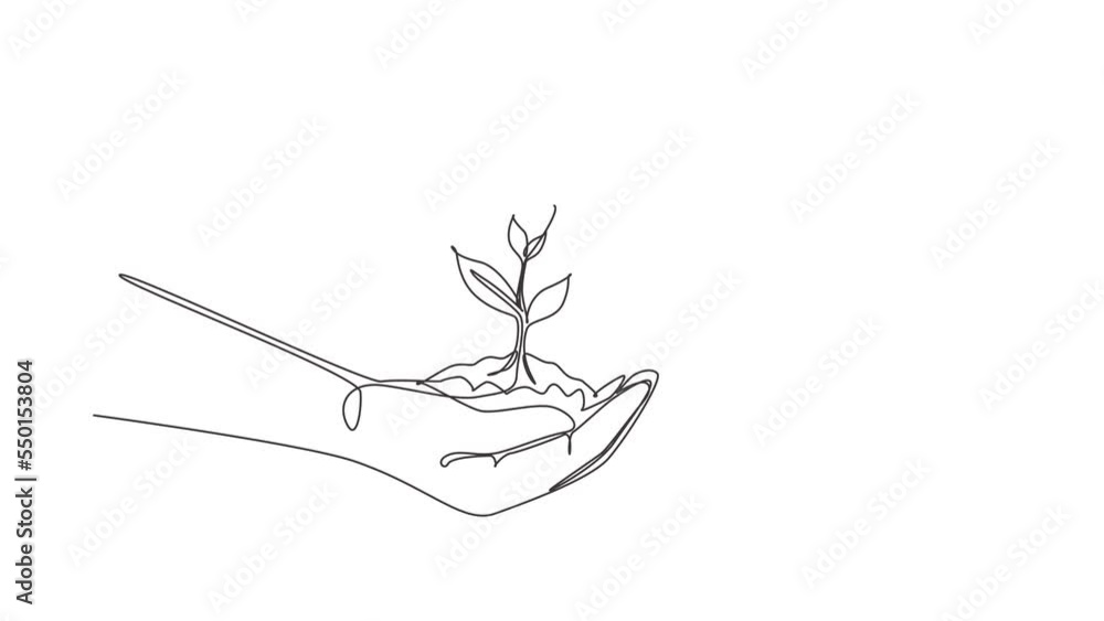 Poster self drawing animation of single line draw new life in hands on white background. female hand holdin