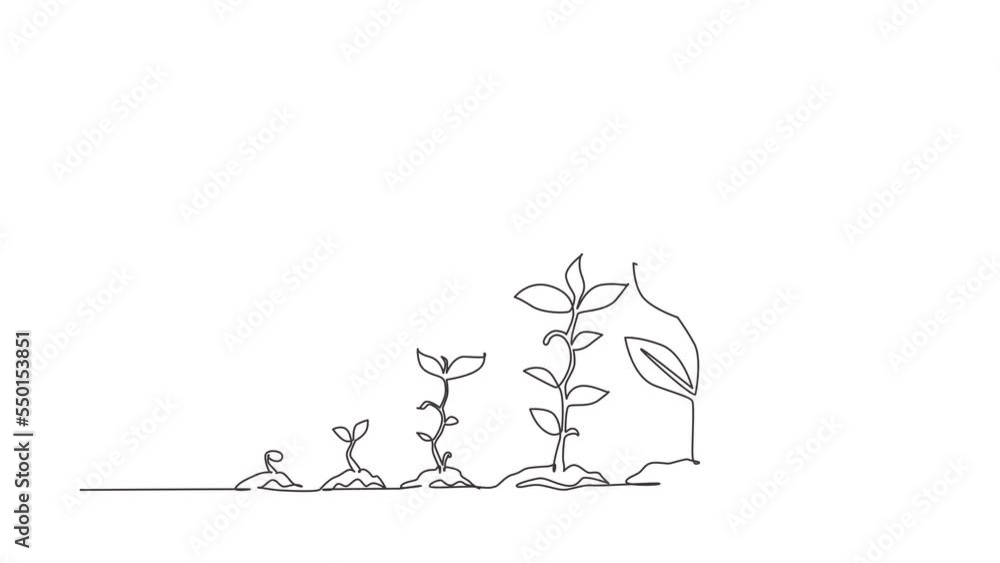 Poster animated self drawing of continuous line draw infographic of planting tree. seeds sprout in ground. 