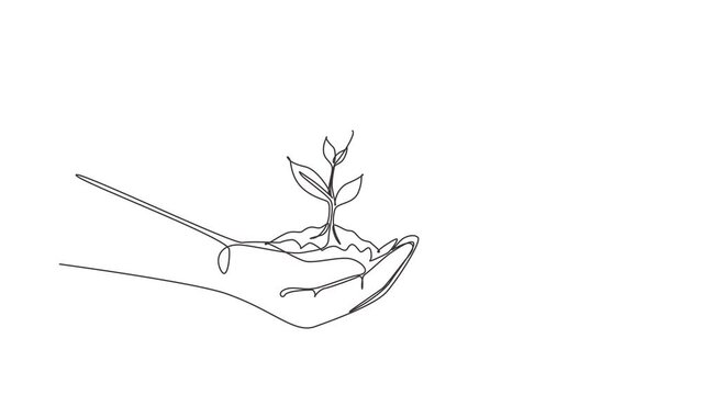 Self drawing animation of single line draw new life in hands on white background. Female hand holding tree on nature field grass Forest conservation concept. Continuous line draw. Full length animated