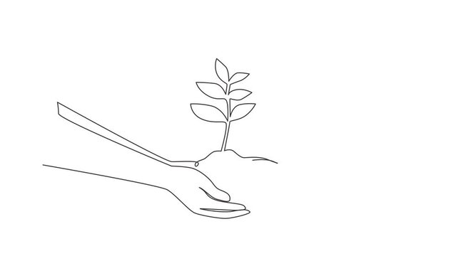 Animated self drawing of continuous one line draw two hands holding together a green young plant. Hand holding tree on nature field grass Forest conservation concept. Full length single line animation