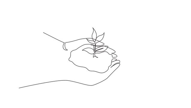 Animated self drawing of continuous line draw hand holding sprout wilde pine tree in nature green. Earth Day save environment. Growing seedling forester planting. Full length one line animation