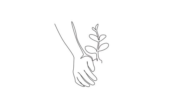 Self drawing animation of single line draw farmer's hands growing tree, save world, heal world, love nature. Ecology tree growing up, planting on land. Continuous line draw. Full length animated