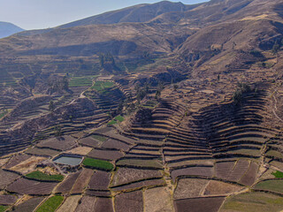 landscapes and agriculture in colca canyon in peru 