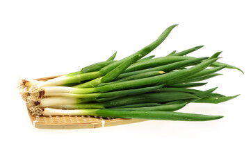 fresh green onion on white background .