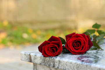 Red roses on granite tombstone outdoors, space for text. Funeral ceremony