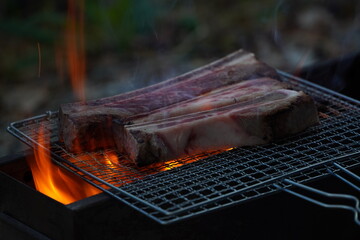 Ribs Grilled on a Furnace at Camping