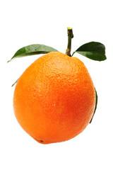 orange fruit with leaf on white background .