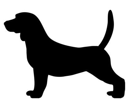 silhouette beagle
