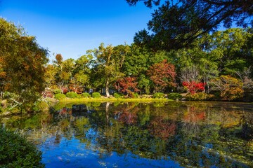 宇佐神宮の紅葉