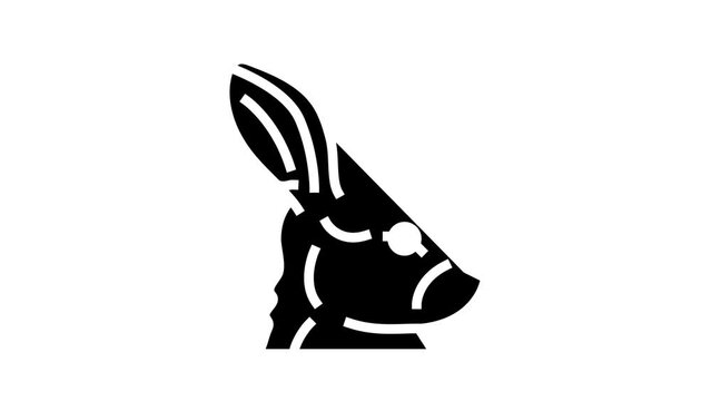 rabbit animal zoo glyph icon animation