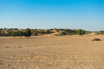 Fototapeta na wymiar Ranautar, remote desert village inside the desert. Distant horizon, Hot summer with cloudless clear blue sky background, Thar desert, Rajasthan, India.