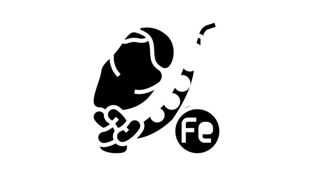 foods high in iron glyph icon animation