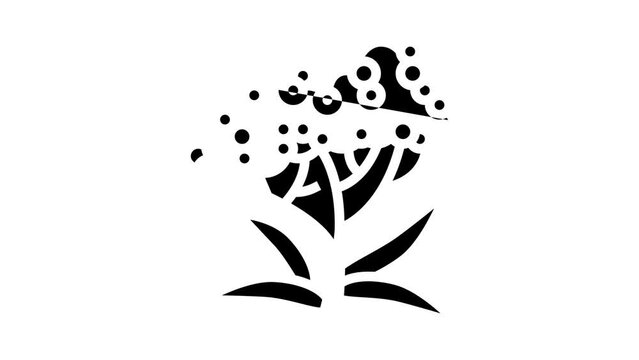 elderberry tree branch glyph icon animation
