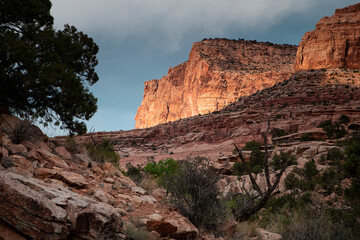 Sun on the Cliff Face