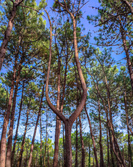 Gigantic natural slingshot in Spain.
