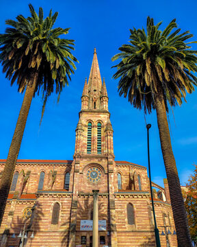 Old church tower in the middle of two palm trees in Spain.