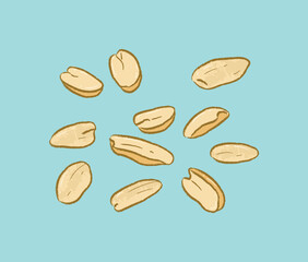 A group of dried peanuts from top view in flat vector illustration art design