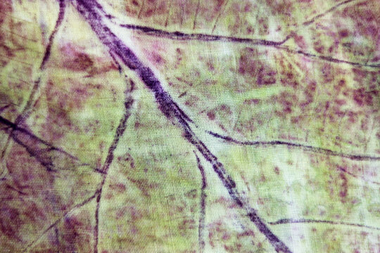 Texture and pattern of teak leaf in red purple and yellow color from eco print process. Eco-printing is a technique where plants, leaves and flowers leave shapes, color and marks on fabric background.