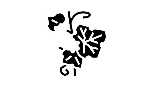 leaf plant glyph icon animation