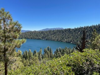 Cascade Lake Surrounded by Trees