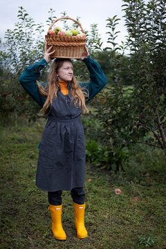 girl and apple harvest