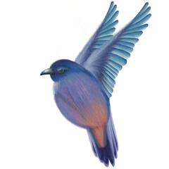 cute birds