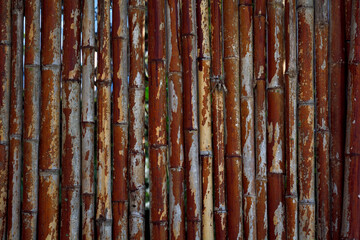 Rustic bamboo fence background. 